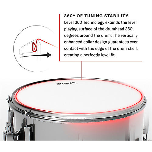 EVANS Yellow Submarine Pepperland Woods Bass Drumhead 22 in.