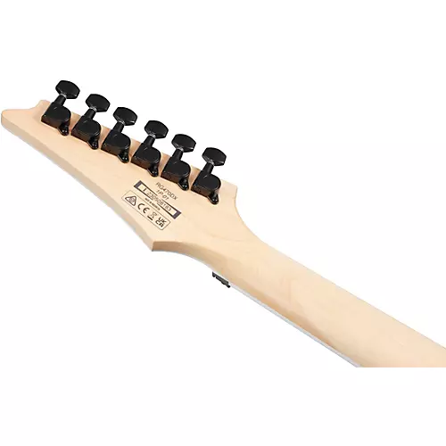 Ibanez RG470DX Electric Guitar Sea Foam Green Matte