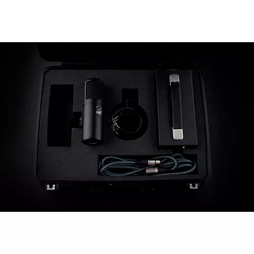 Warm Audio WA-8000 Large-Diaphragm Tube Condenser Microphone Black