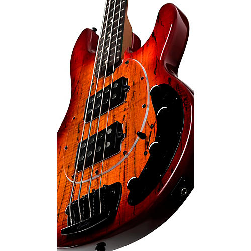 Sterling by Music Man StingRay RAY34 HH Spalted Maple Top Bass Blood Orange Burst