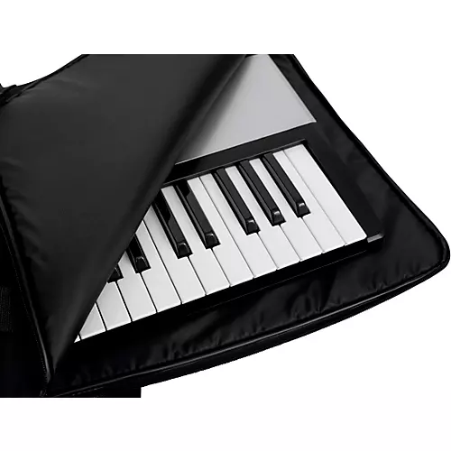 Gator GKBE-76 76-Note Economy Keyboard Gig Bag Black 51