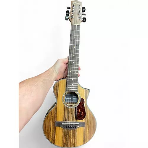 Used Ibanez EWP14 Mahogany Acoustic Guitar Mahogany