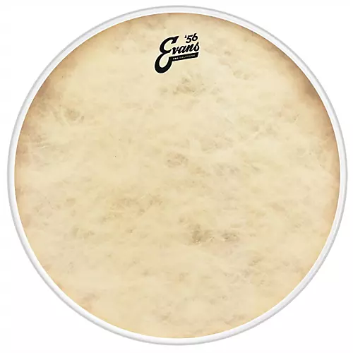EVANS EQ4 Calftone Tom Hoop Drum Head 16 in.