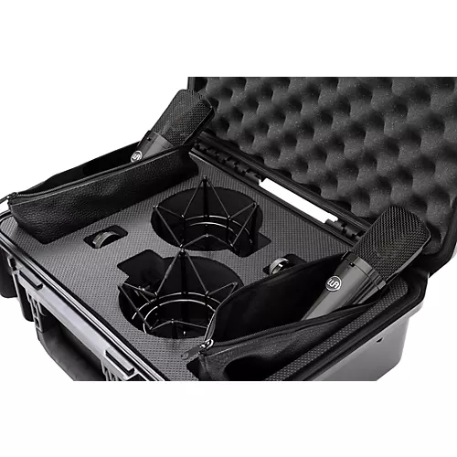 Warm Audio WA-87 R2 TS Large-Diaphragm Condenser Microphone Pair