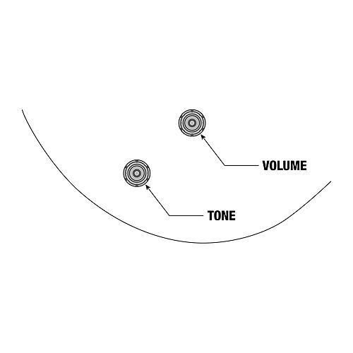 Ibanez Pat Metheny Signature Electric Guitar Black Low Gloss