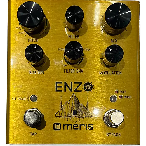 Used Meris Enzo Effect Pedal