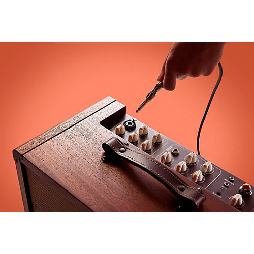 Circa 74 AV150-10 Acoustic Guitar and Vocal Amplifier With Amp Stand Mahogany