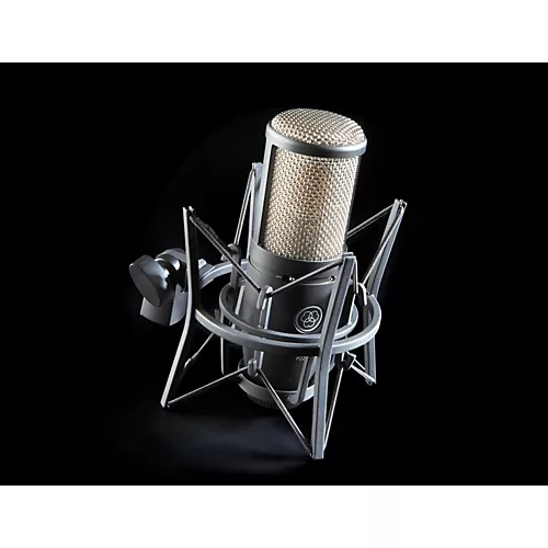 AKG P220 Project Studio Condenser Microphone