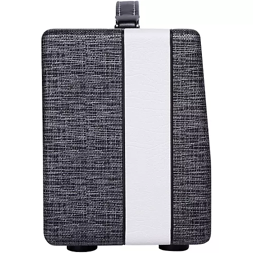 Supro Black Magick Reverb Head