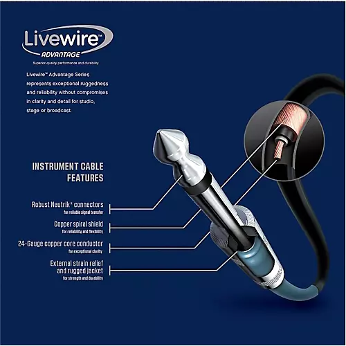 Livewire Advantage 8-Channel Snake D-sub to XLR 10 ft. Black