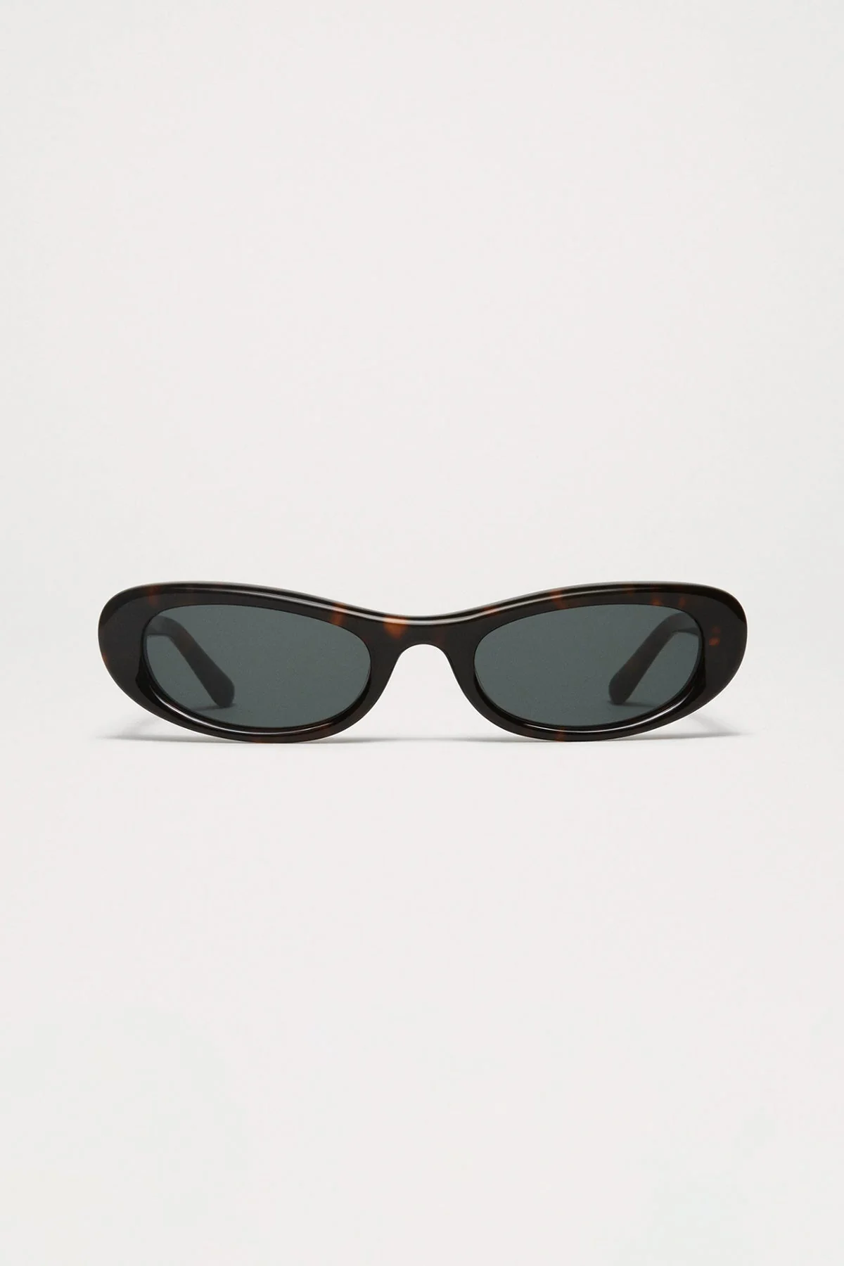 Bow Tortoise - By CHIMI