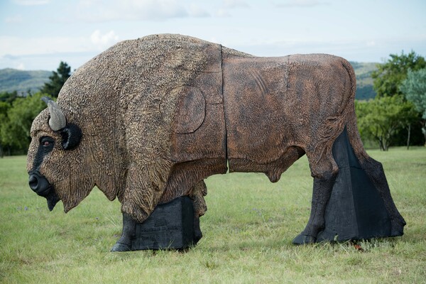 Wildcrete European Bison 3D Foam Target