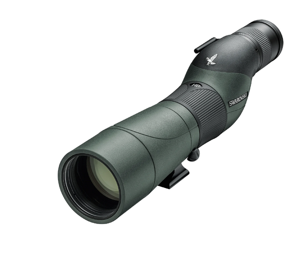 Swarovski STS 25-50x65 Wide Spotting Scope