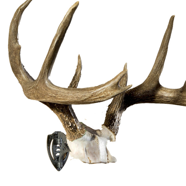 Skull Hooker - Bone Bracket