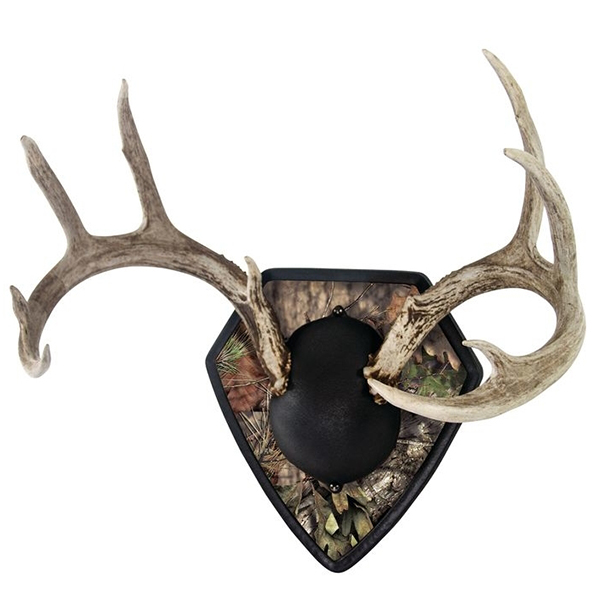 Allen Big Buck Trophy Mount Kit