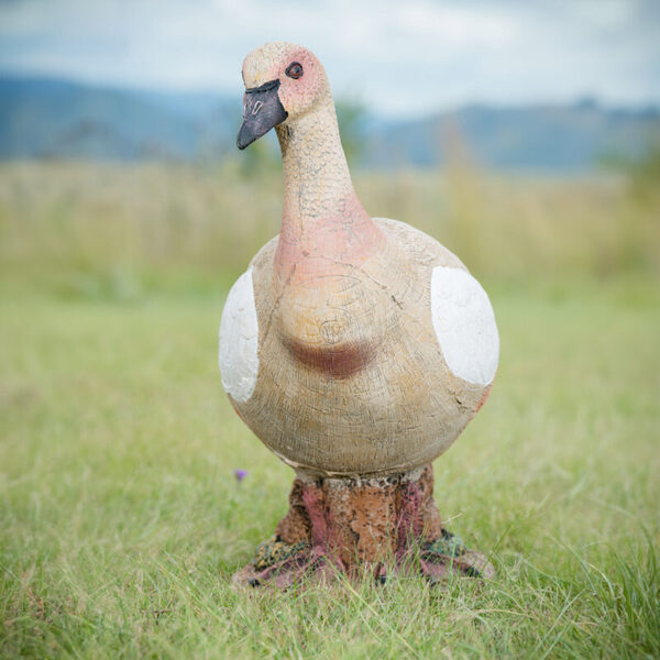 Wildcrete Egyptian Goose 3D Foam Target