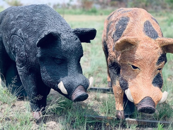 Wildcrete Australian Feral Boar 3D Archery Target - Black