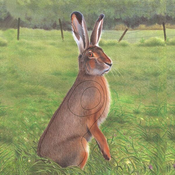 Hare Animal Face Target 10 Pack