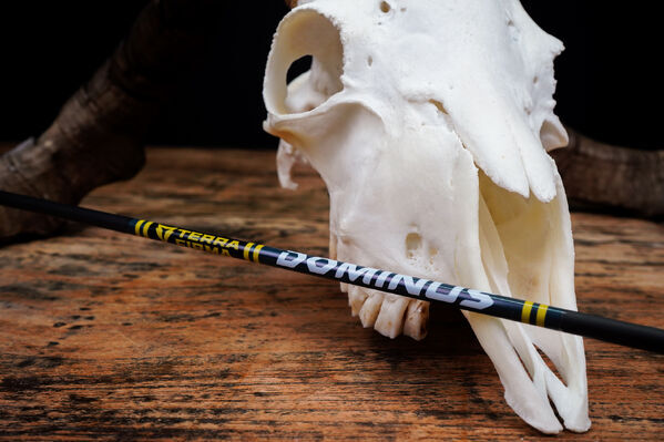 Terra Firma DOMINUS 4mm Fletched Arrows - 12 Pack - 250