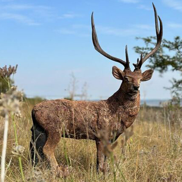 Wildcrete Rusa Deer 3D Foam Target