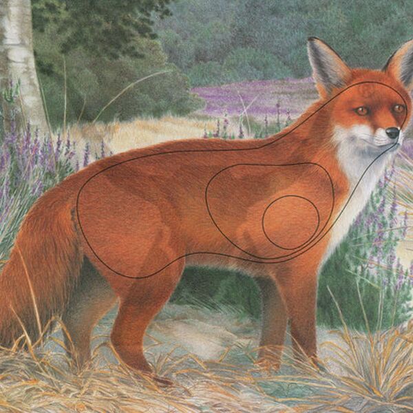 Fox Animal Face Target 10 pack