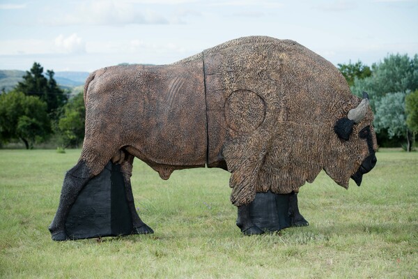 Wildcrete European Bison 3D Foam Target