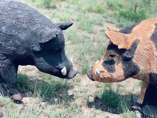 Wildcrete Australian Feral Boar 3D Archery Target - Black