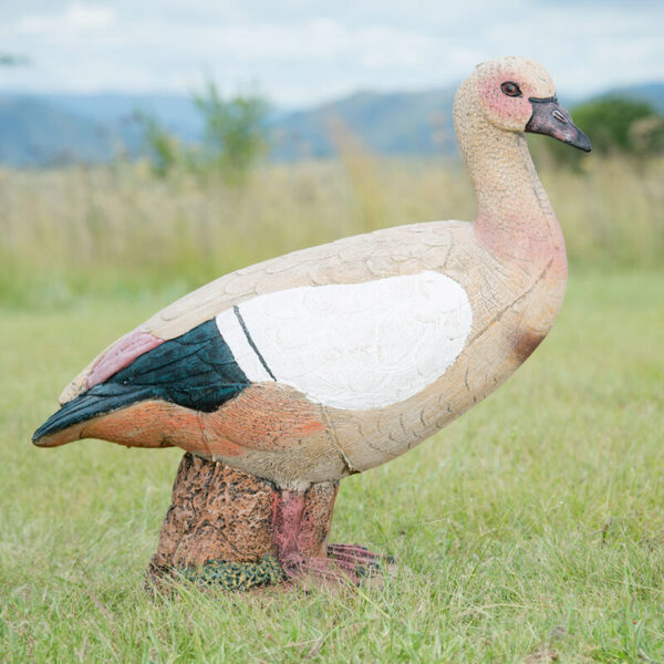 Wildcrete Egyptian Goose 3D Foam Target