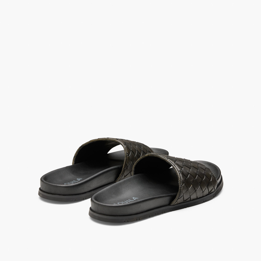 Playa Olive Pool Slides