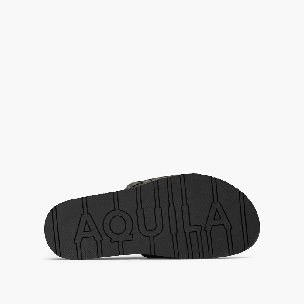 Playa Olive Pool Slides