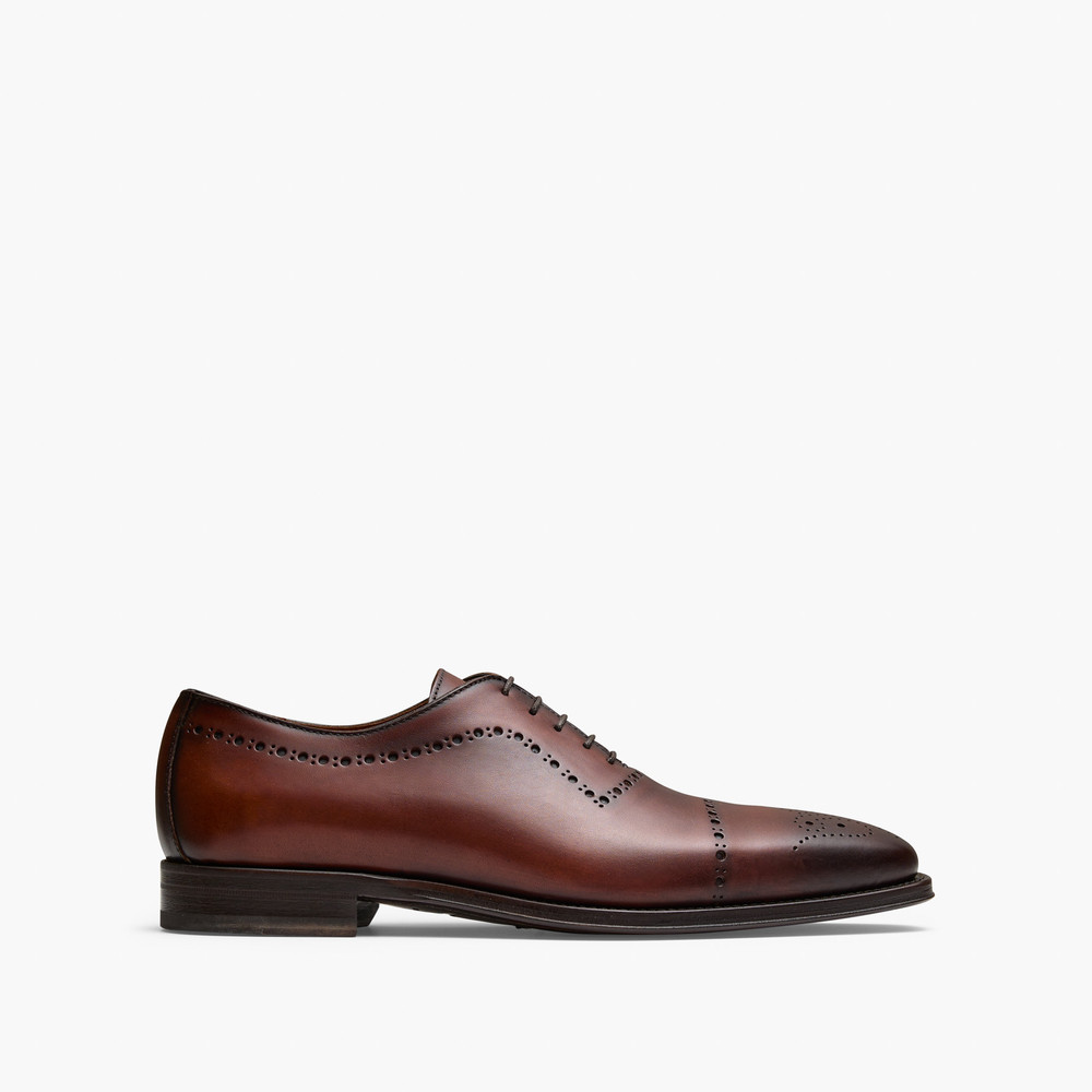 Tommasi Brown Oxford Shoes