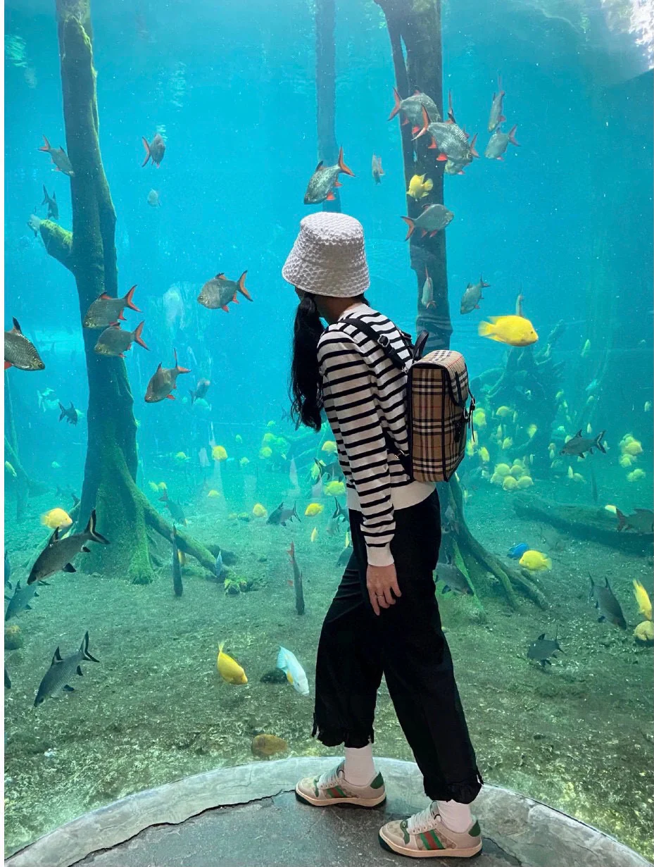 Burberry - рюкзак в стиле 