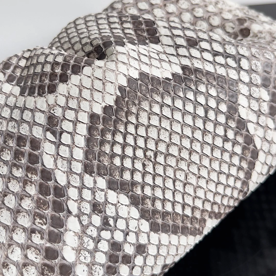 BV - Python Skin - Cloud Bag - Mini