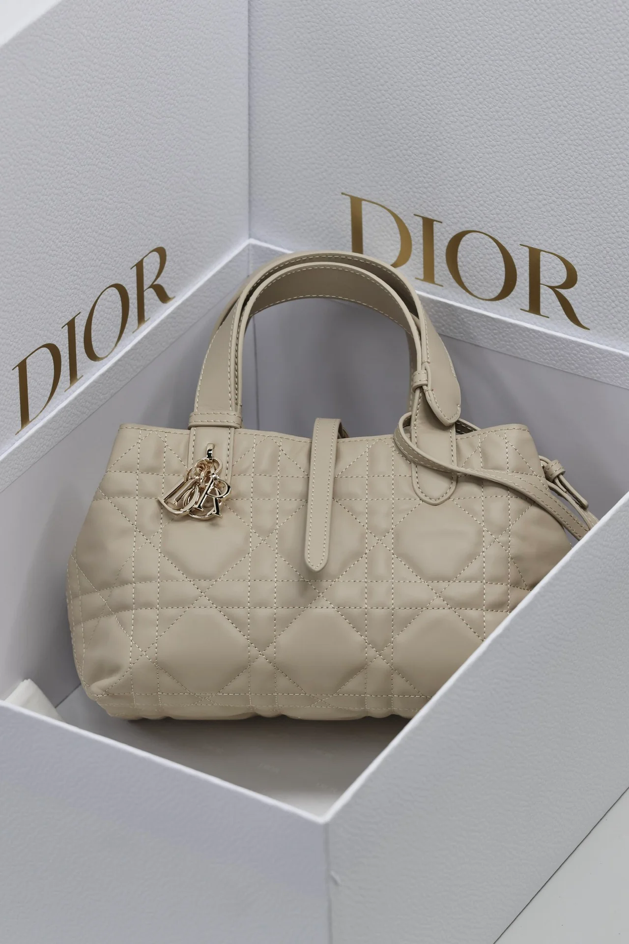 Маленькая сумочка Dior Toujours - белая.