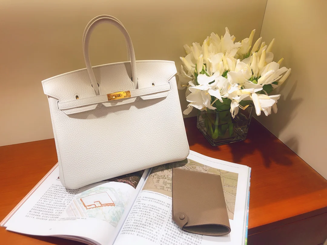 Hermes Birkin 25 Togo - Чисто-белый - Золотая фурнитура
