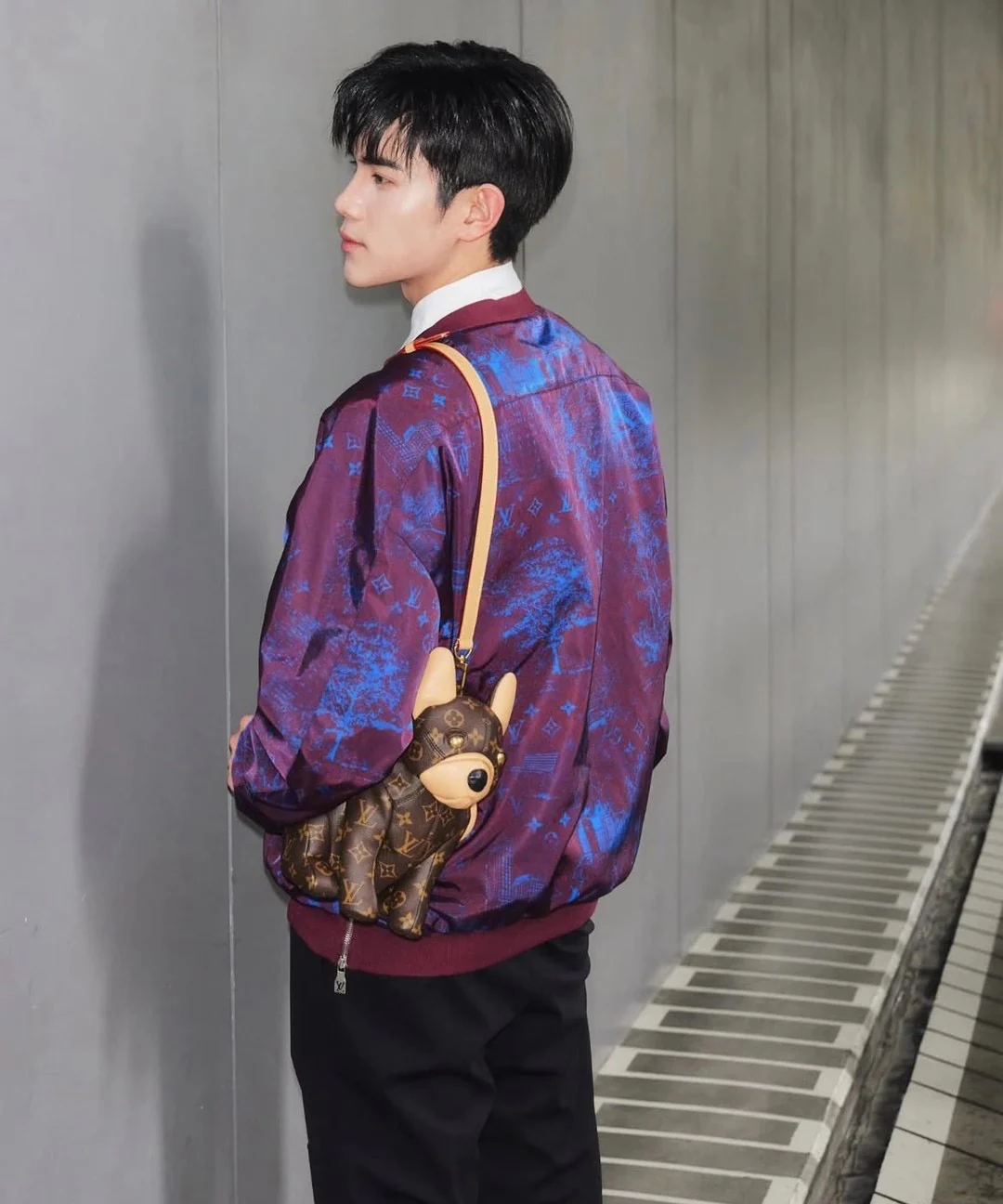 Сумка LV-m12617-pooch-bag с изображением французского бульдога - коричневая.