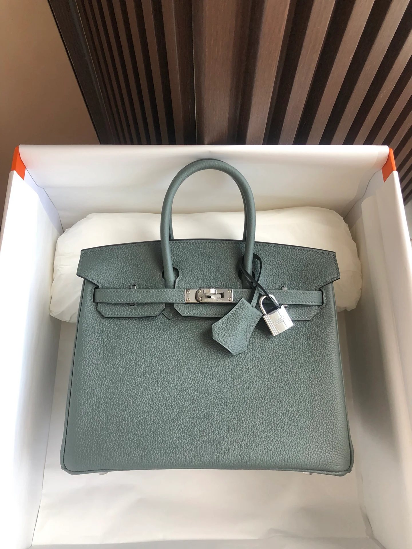 Сумка Hermes Birkin 25 Togo миндально-зеленого цвета с серебряной пряжкой
