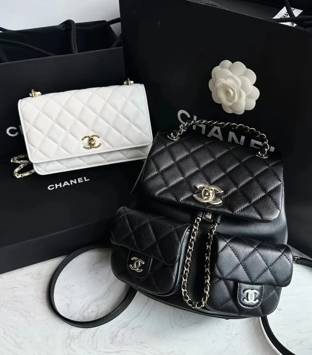 Коллекция Chanel Весна/Лето 2023 - Duma - Однотонный рюкзак из телячьей кожи - Черный