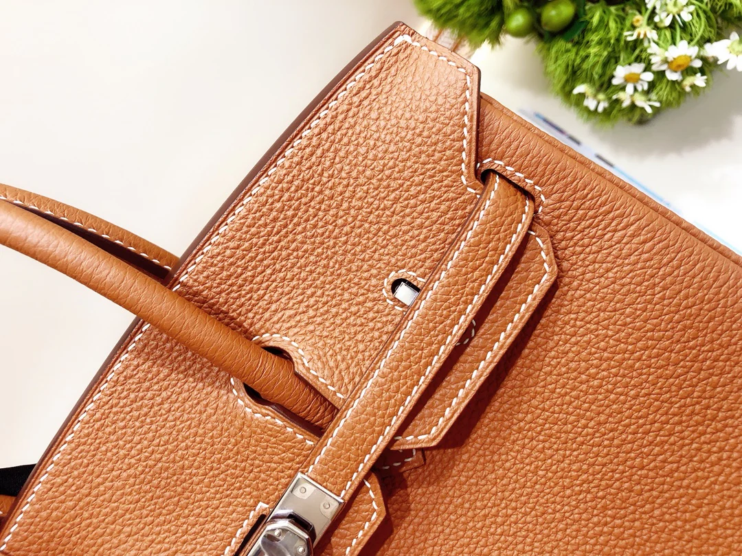 Hermes Birkin 25 Togo Gold Brown Silver Buckle