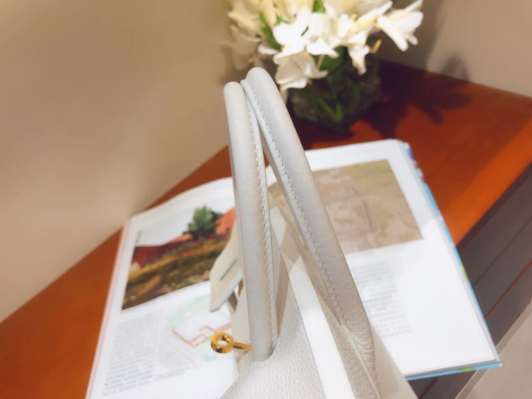 Hermes Birkin 25 Togo - Чисто-белый - Золотая фурнитура