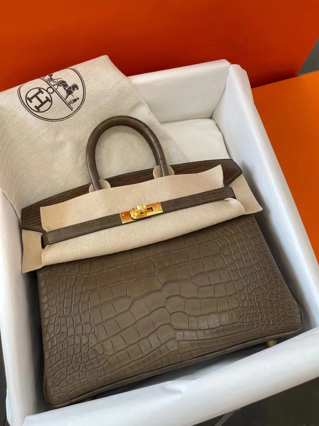 Сумка Hermes Birkin 25m1 Angelica Grey с золотой пряжкой