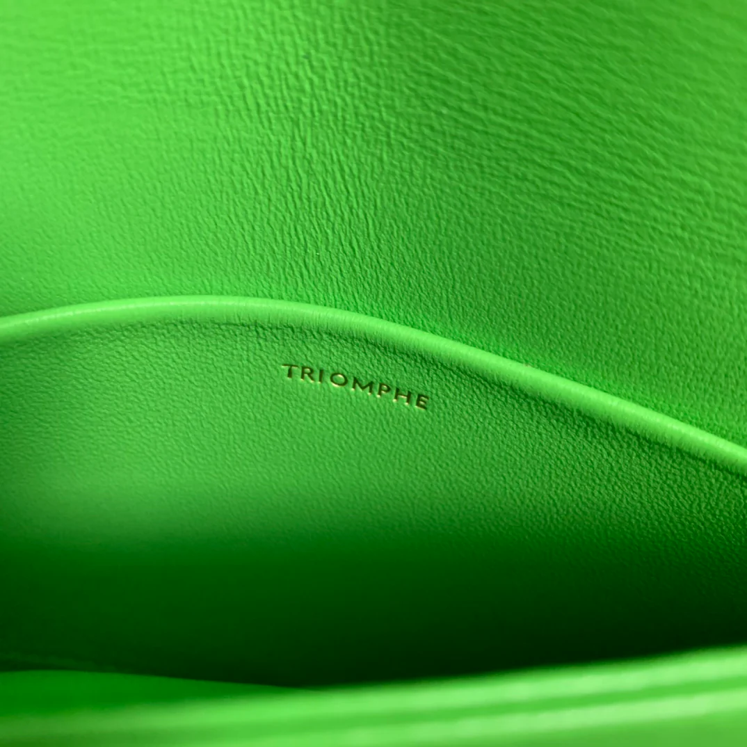 Celine - Новая благотворительная акция ?Триумфальная арка? 2022 года - teen-1