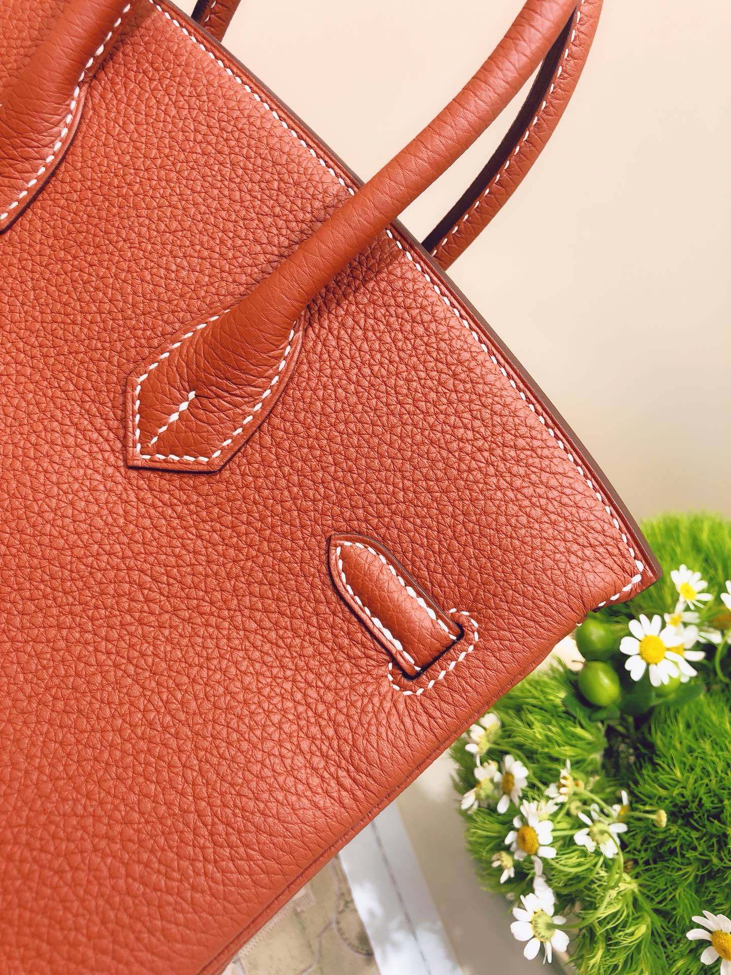 Hermes-birkin-25-togo-Maple Leaf Palm- Gold Buckle