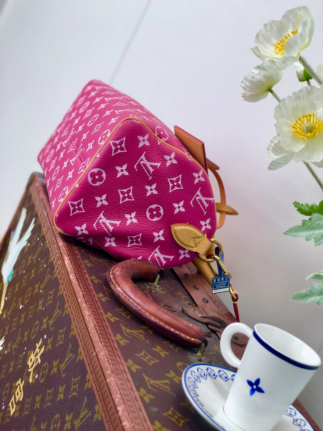 LV Драконий Фрукт Красный