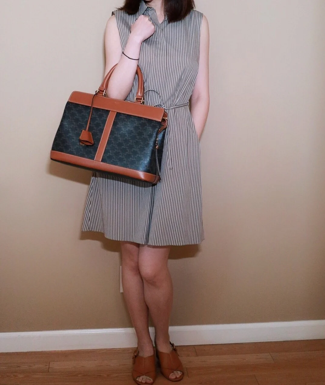 Сумочка Celine-Cabas-de-France-среднего размера-2