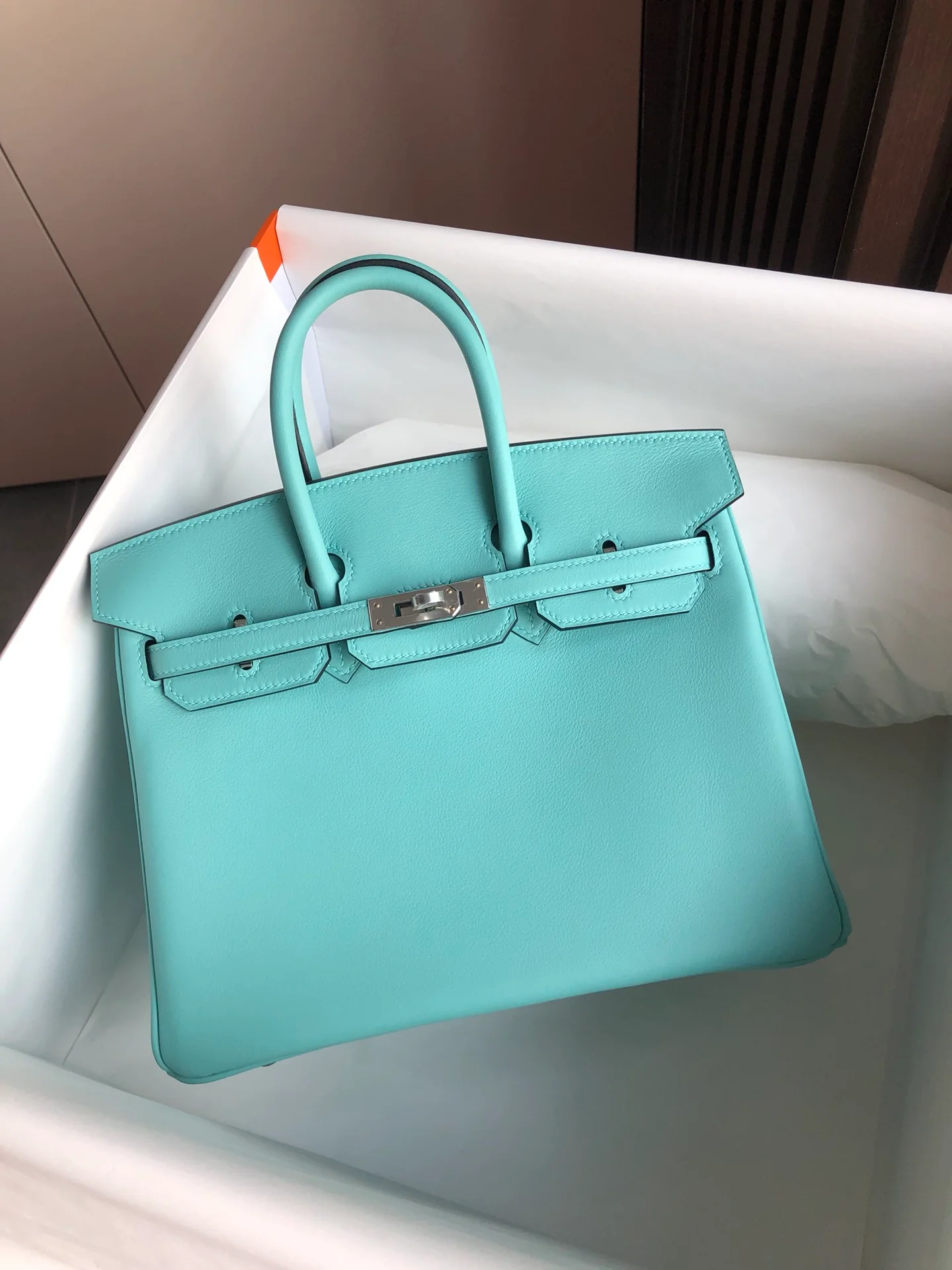 Сумка Hermes Birkin 25 Swift 3p Macaron с серебряной пряжкой