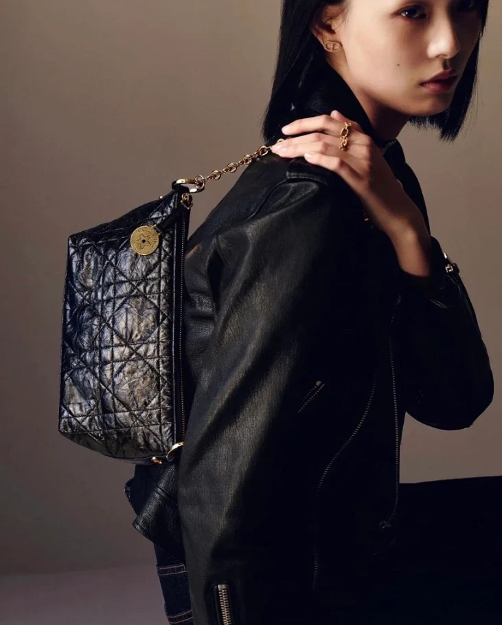 Сумка Dior Starhobo - черная