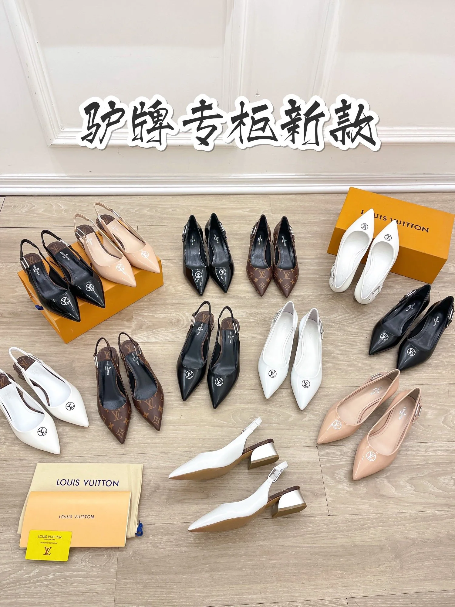 Туфли-балетки LV с острым носком - изображение из коллекции