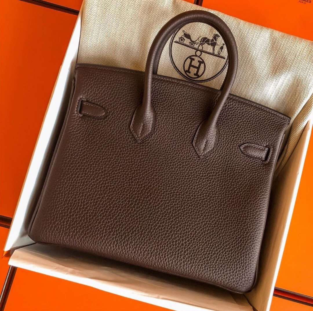 Hermes Birkin 25 Togo Chocolate Chocolate Gold Buckle