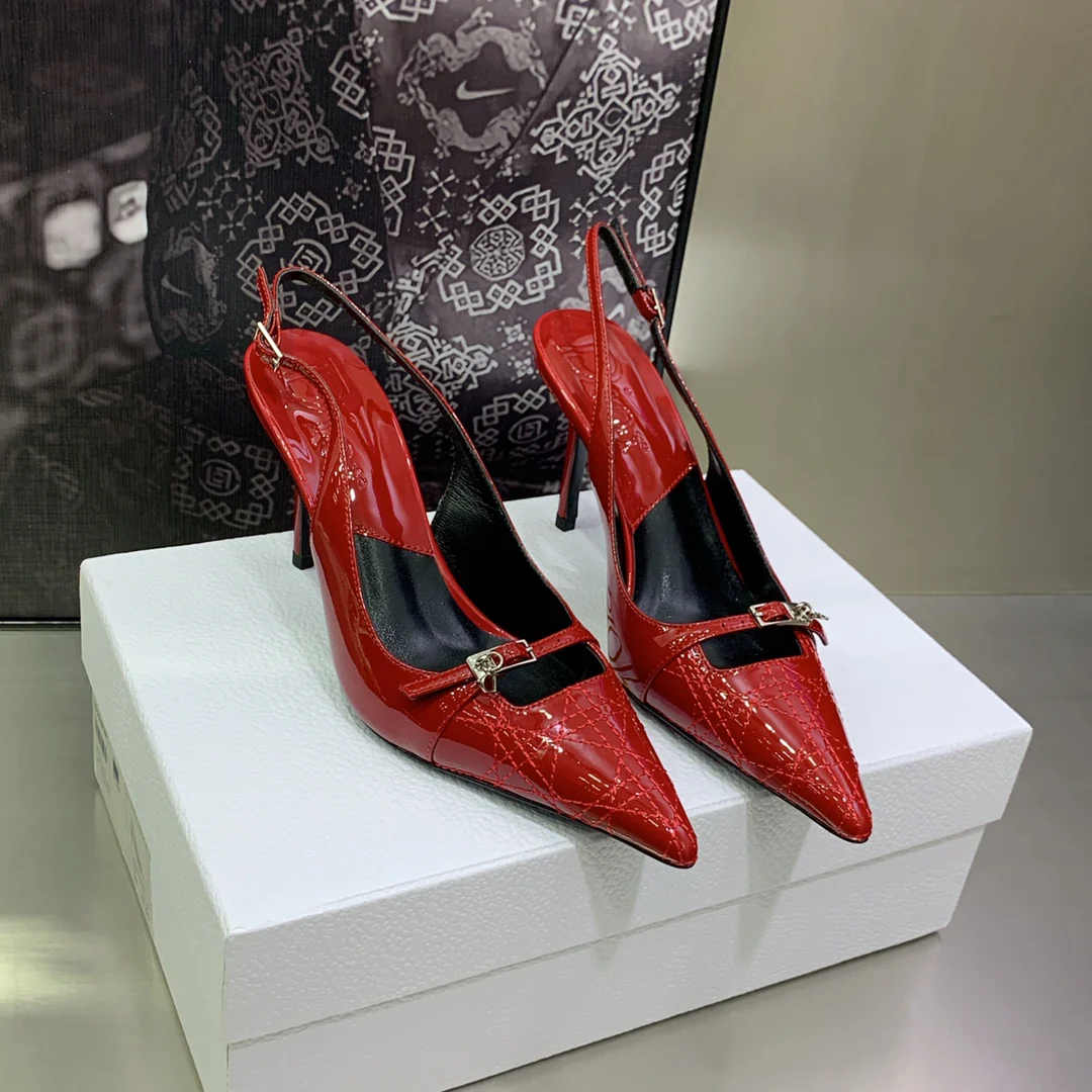 Новинка сезона весна/лето 2022 от Dior — туфли на каблуке с вышивкой Cannage и острым носком — в стиле знаменитостей.